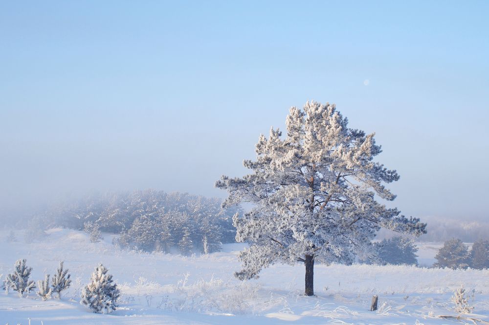 Photograph by Юрий Гау