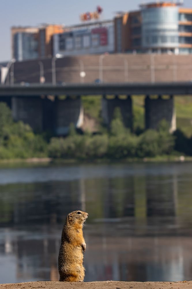 Photograph by Лапин Сергей