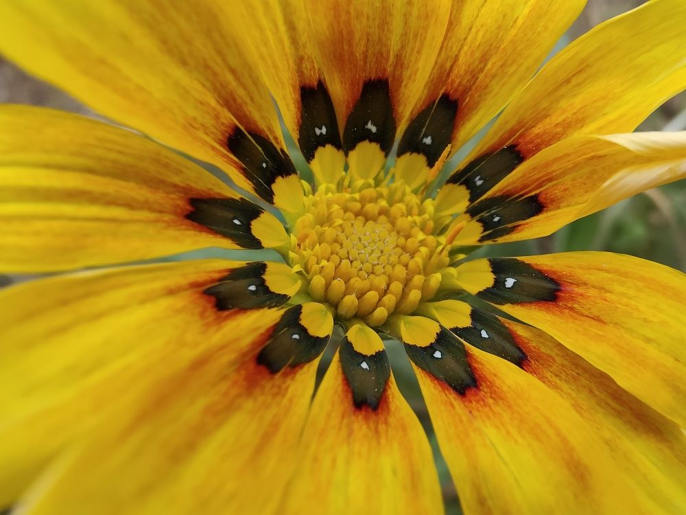 Фотография автора zakaria ahmad