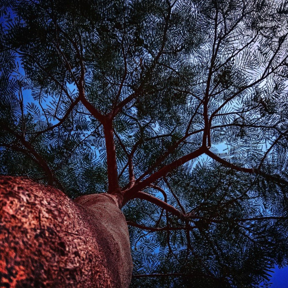 Фотография автора zakaria ahmad