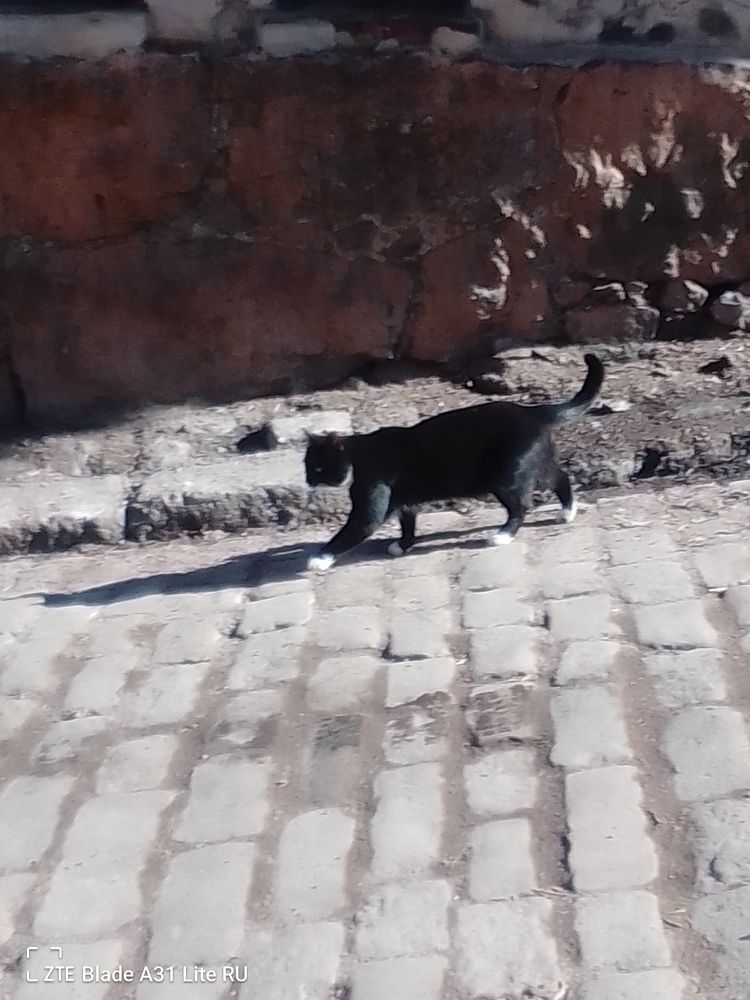 Photograph by Irina Mihailovskaya