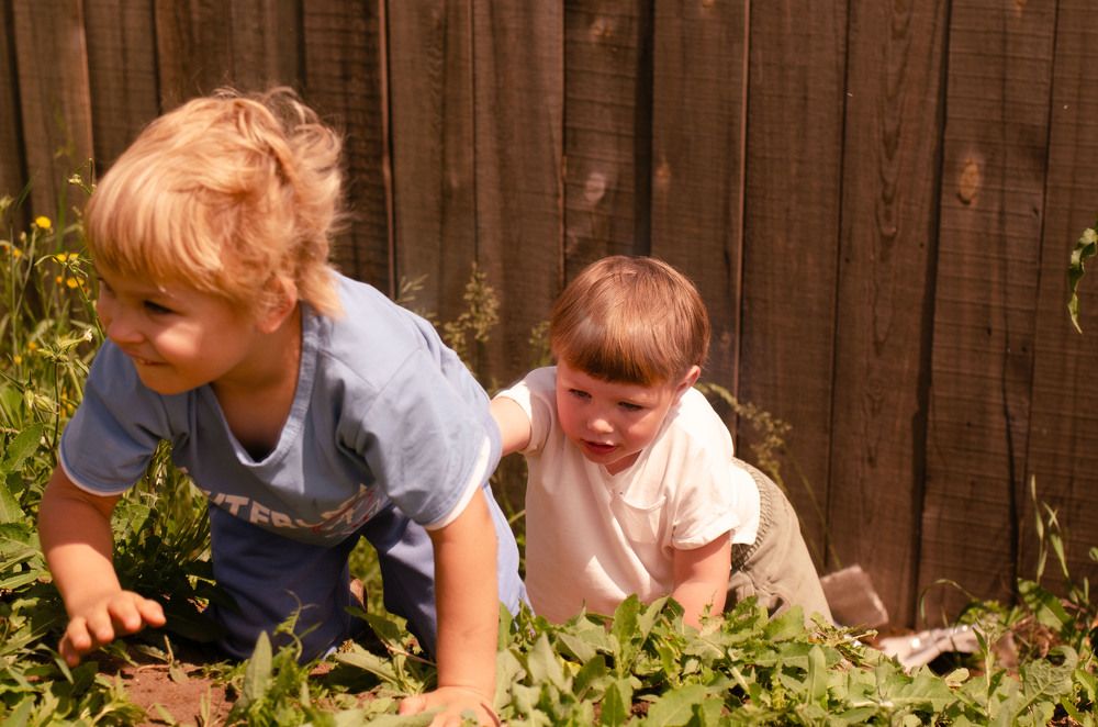 Photograph by Анна Демина