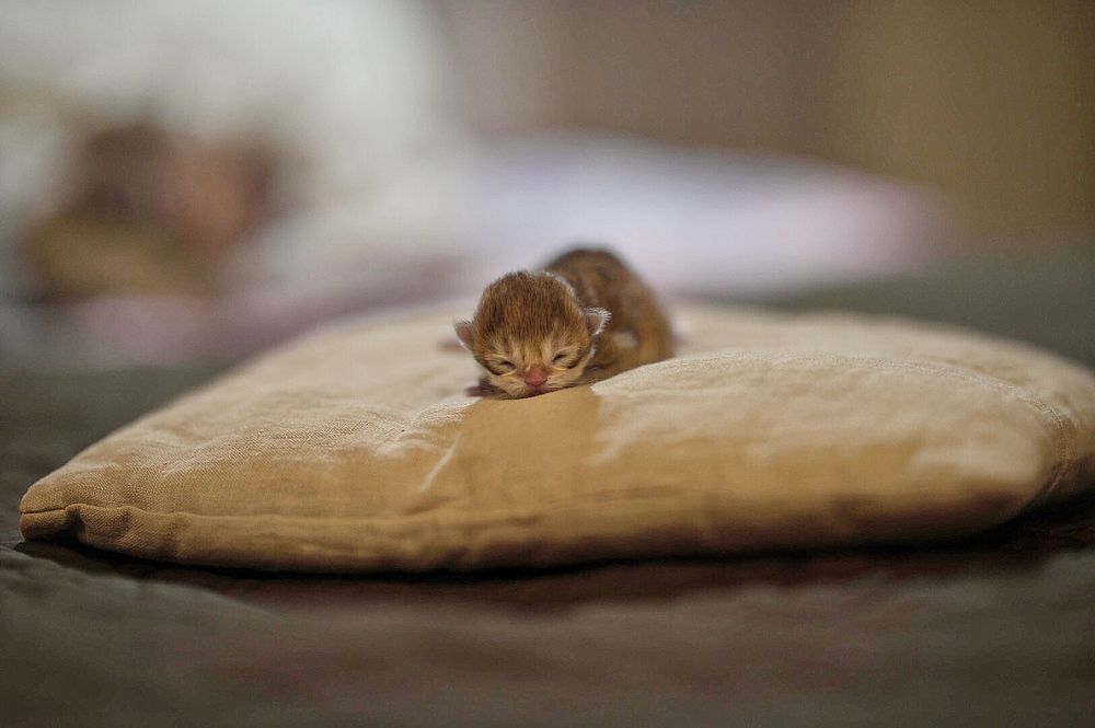 Photograph by Вячеслав Романов