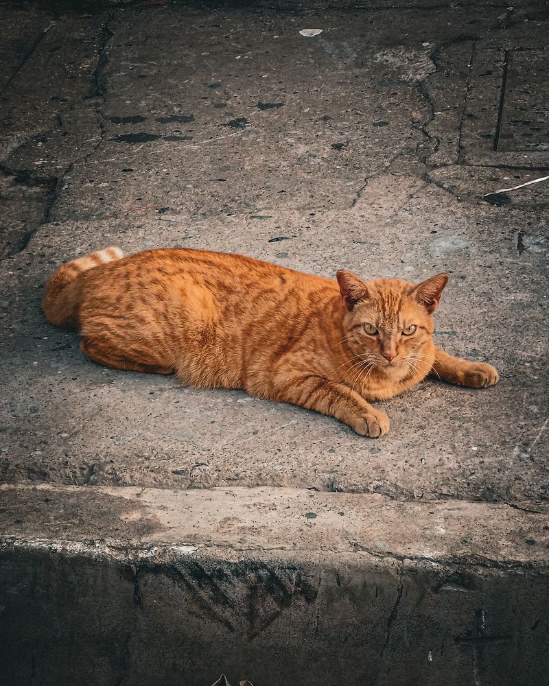 Photograph by Mauricio Santiago Boulogne