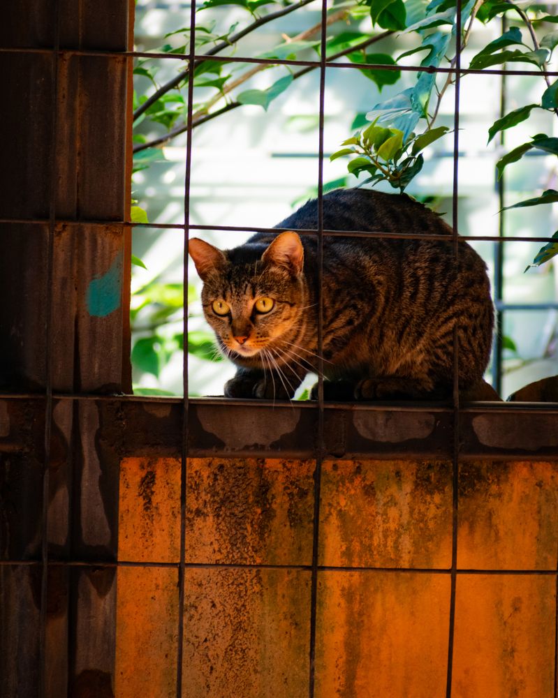 Photograph by Mauricio Santiago Boulogne