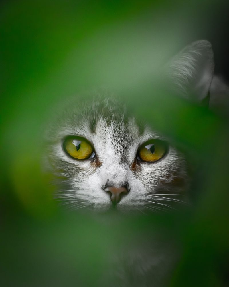 Photograph by Mauricio Santiago Boulogne