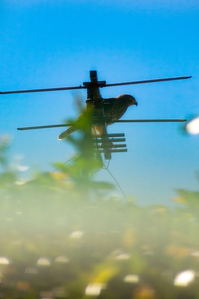 Photograph by Mauricio Santiago Boulogne