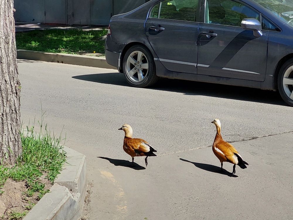 Photograph by Елена Тимченко