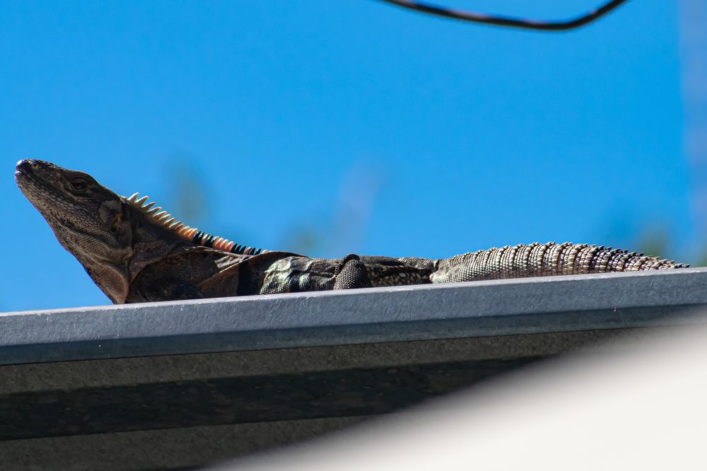 Photograph by Mauricio Santiago Boulogne