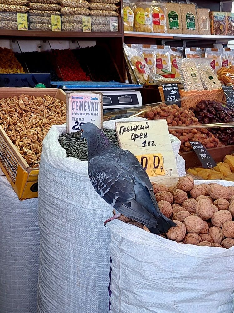 Photograph by Елена Тимченко