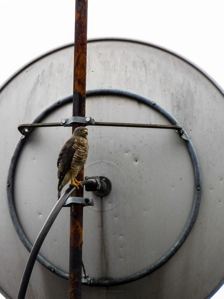 Photograph by Mauricio Santiago Boulogne