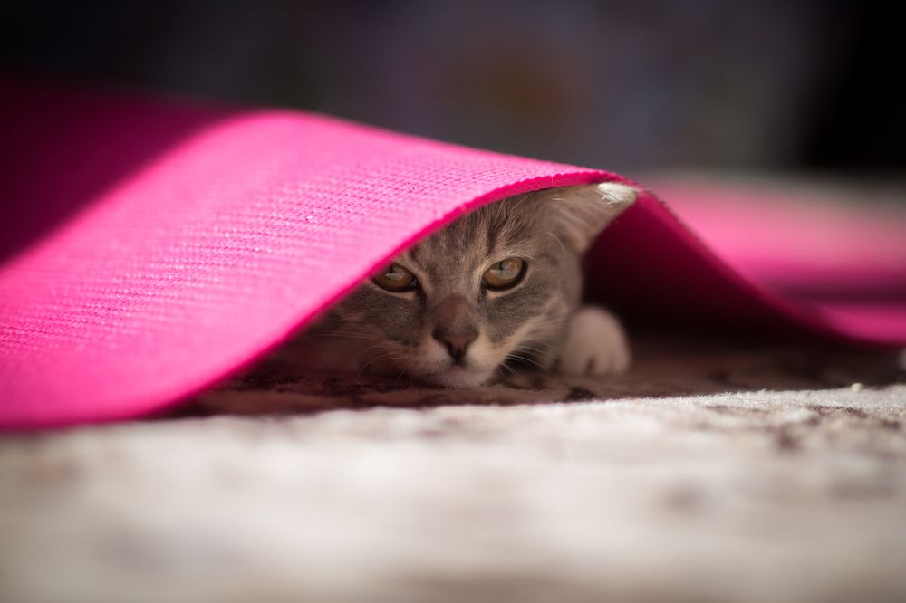 Photograph by Марина Киприна