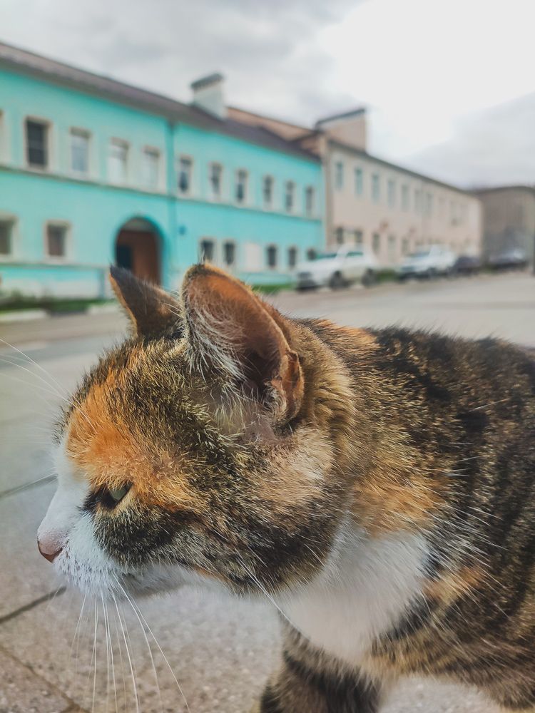 Фотография автора Нина Зинченко