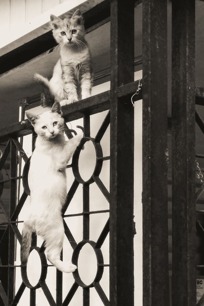 Photograph by Евгения Шулакова