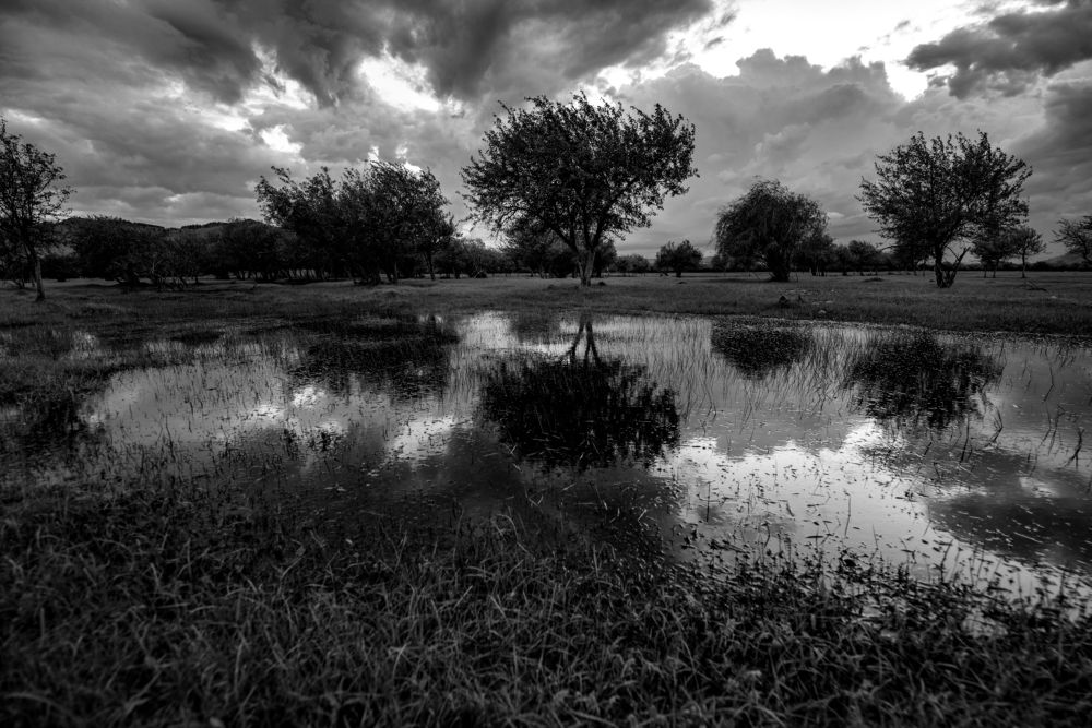 Photograph by Batjargal Lkhagvasuren