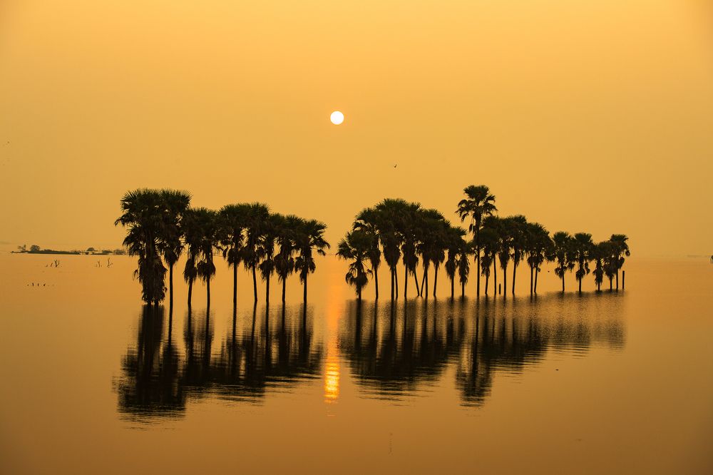 Photograph by Zubair Irshad