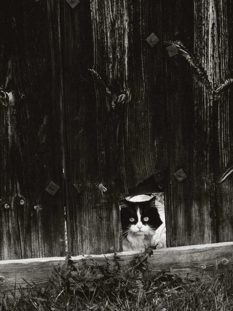 Photograph by Арина Никитина