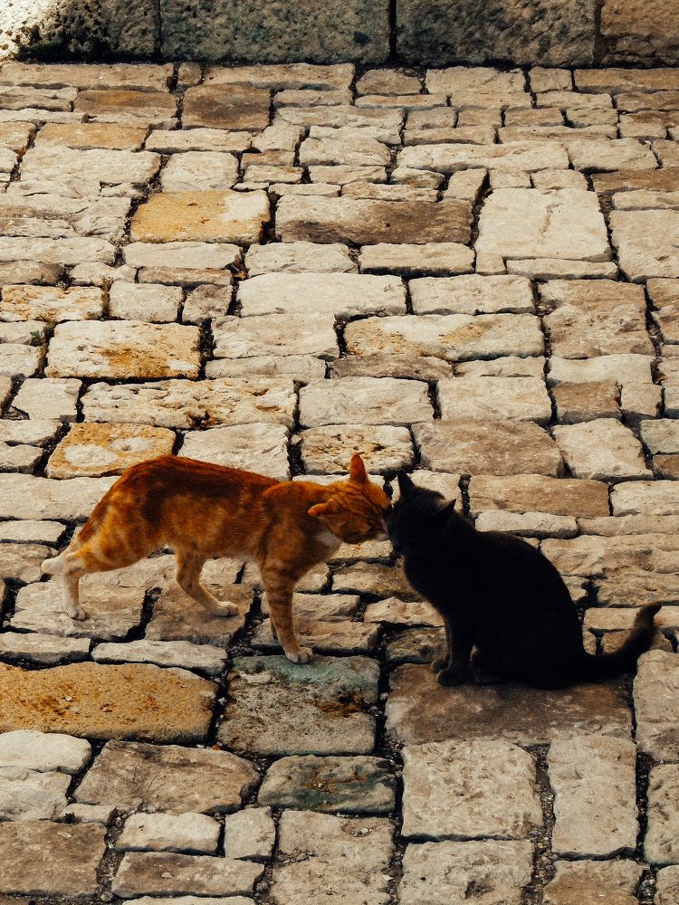 Photograph by Арина Никитина