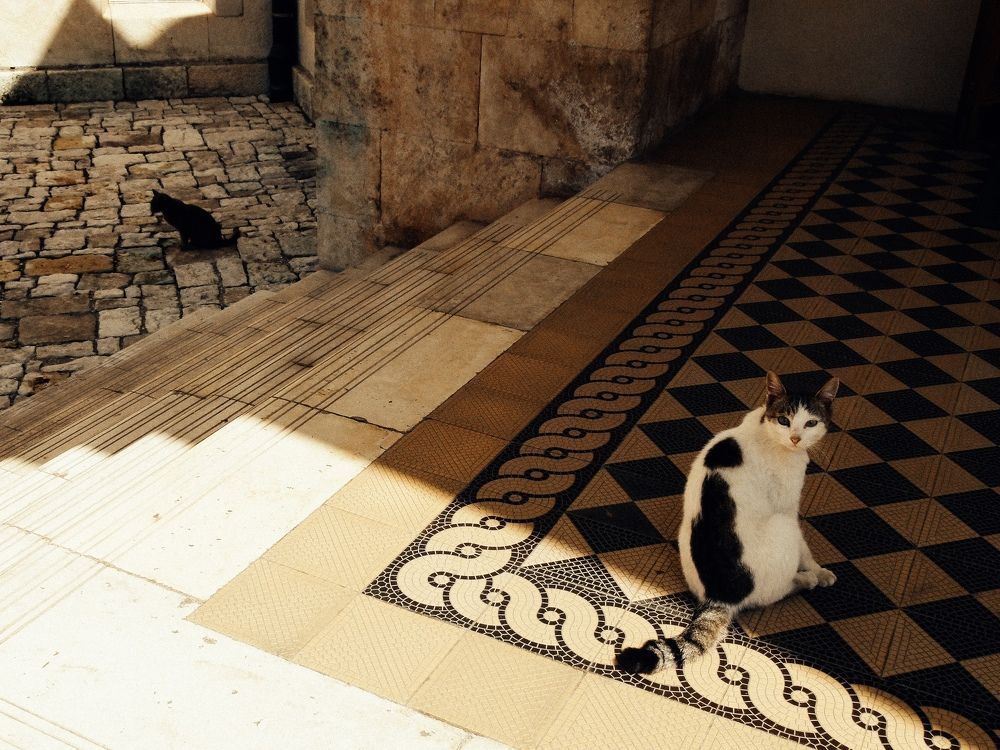 Photograph by Арина Никитина