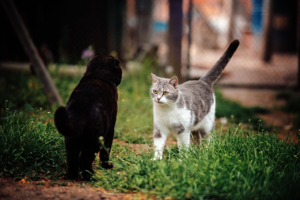 Фотография автора Юлия Носова