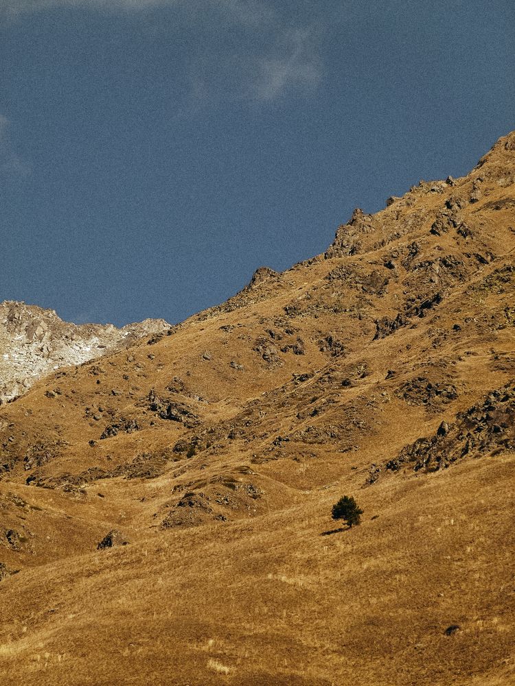 Photograph by Арина Никитина