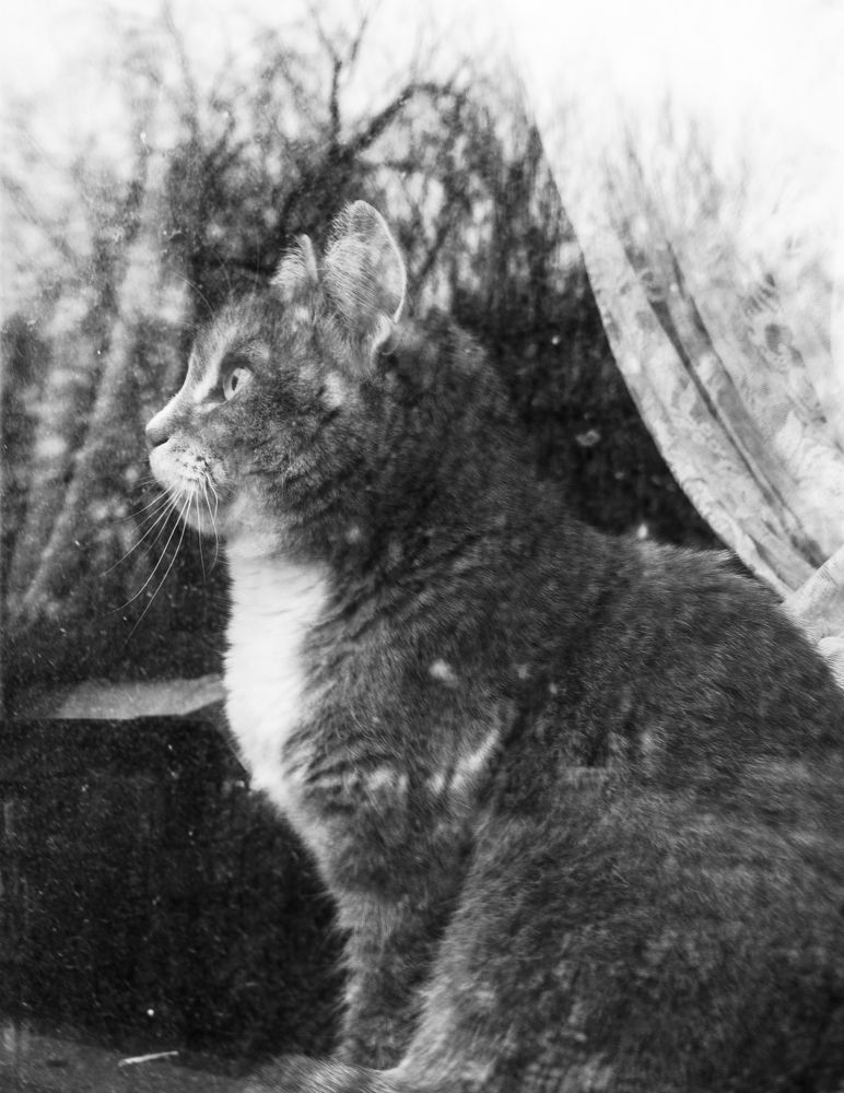 Photograph by Константин Пешков