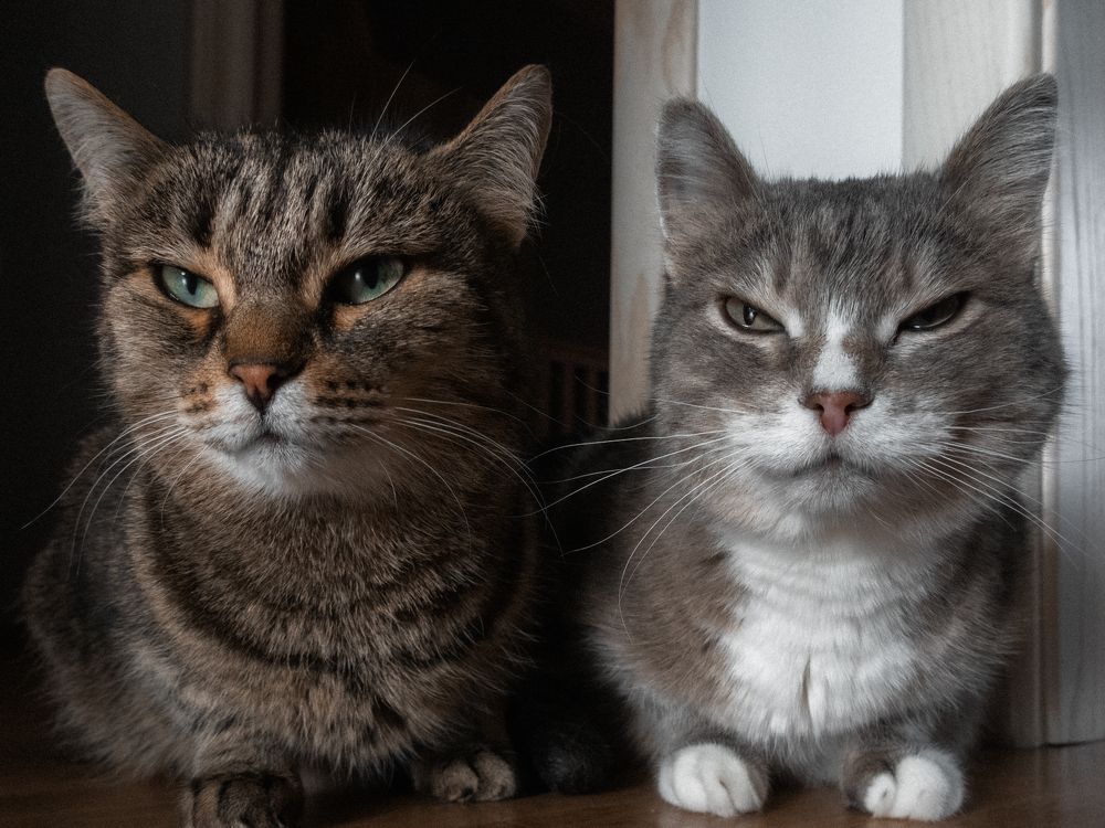 Photograph by Константин Пешков