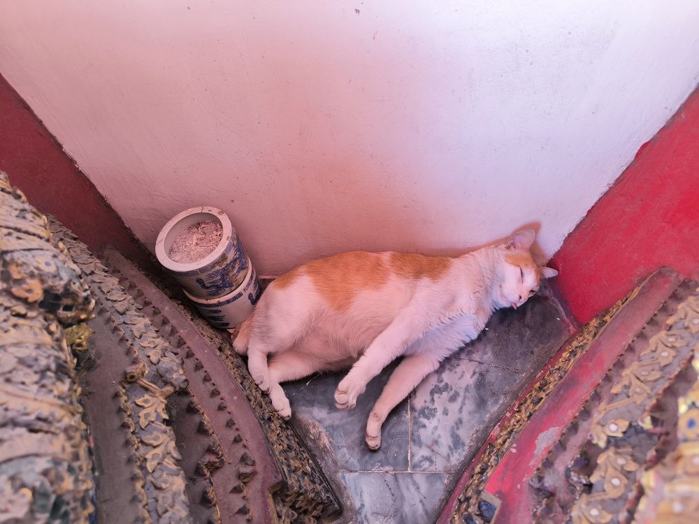 Photograph by Елена Симонова