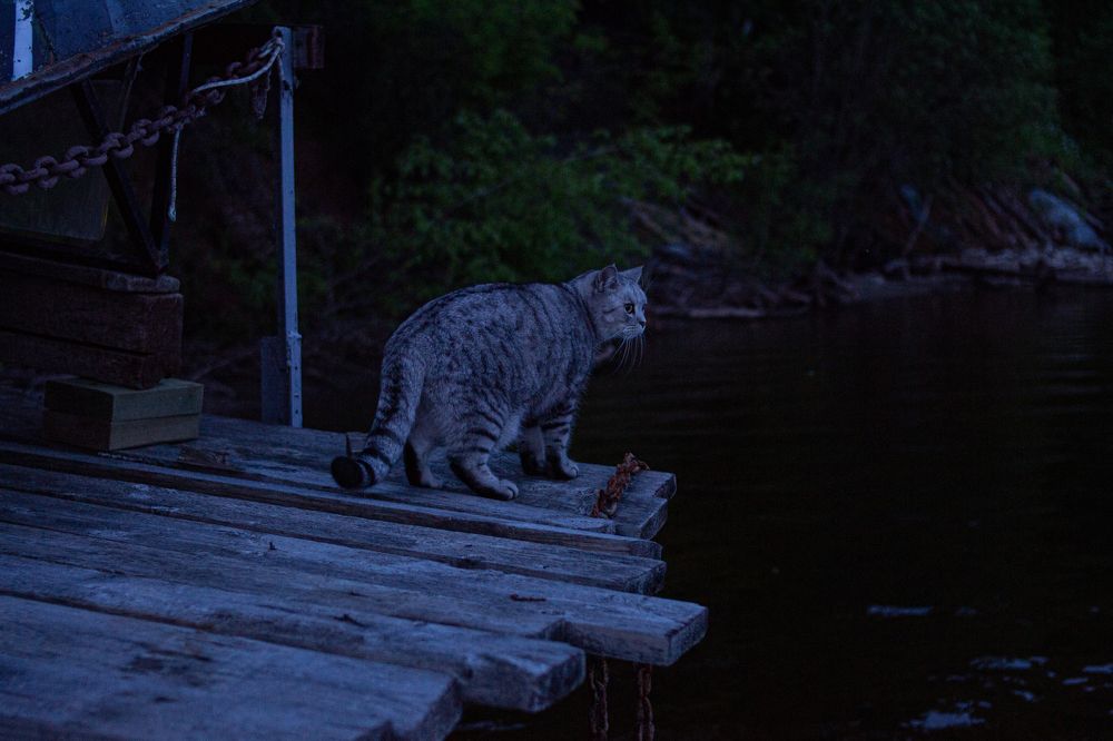 Photograph by Сергей Оборин