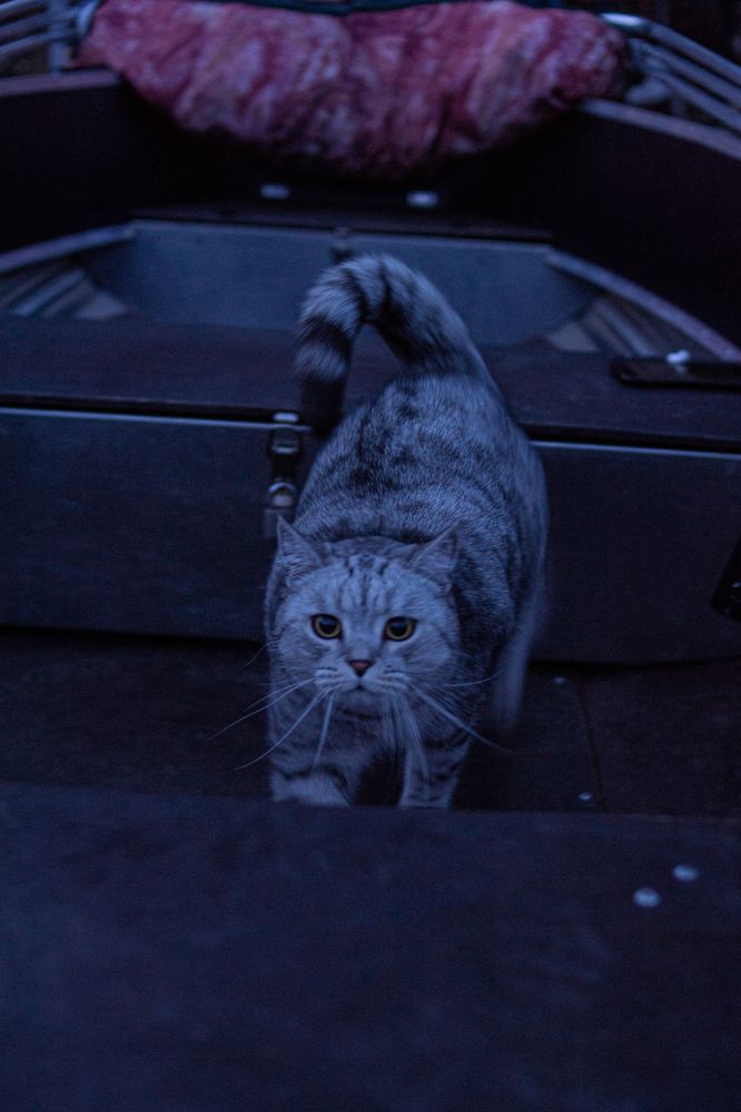 Photograph by Сергей Оборин