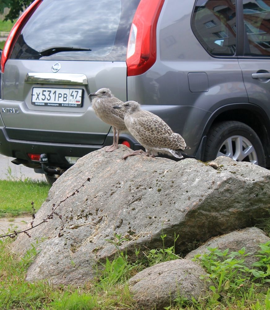 Photograph by Olga Bagaeva