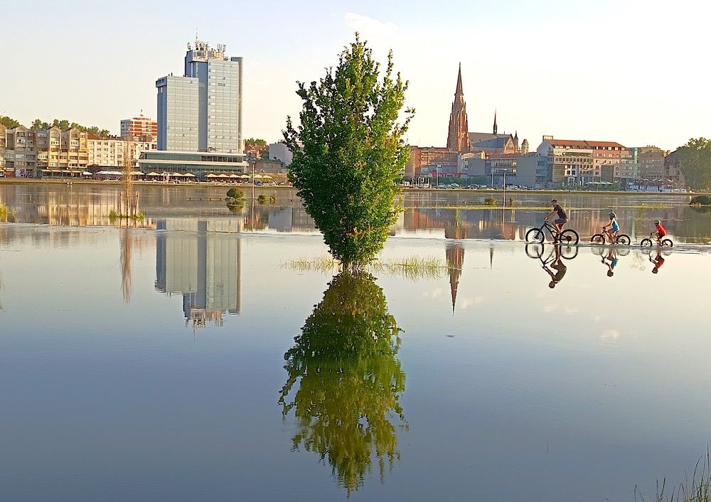 Фотография автора Tomislav Mihelic