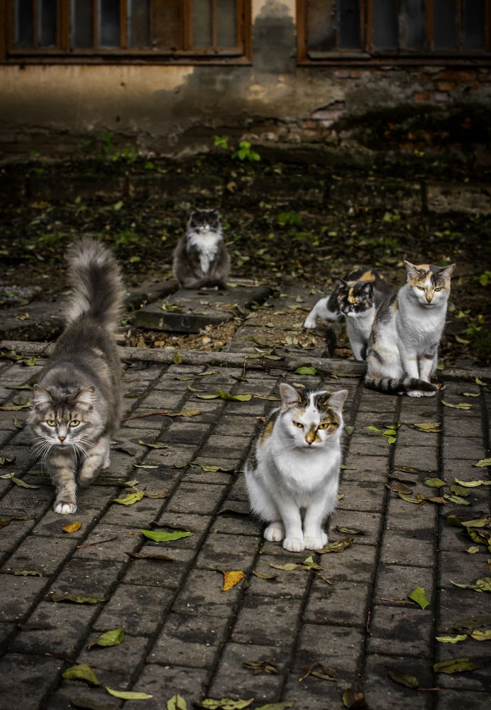 Photograph by Альфия Агзами