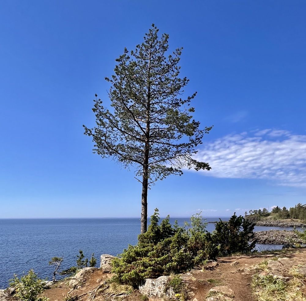 Photograph by Олег Травин