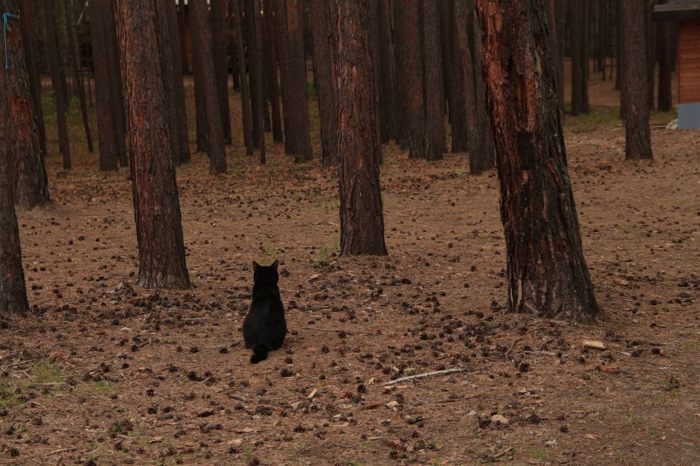 Photograph by Екатерина Филатова