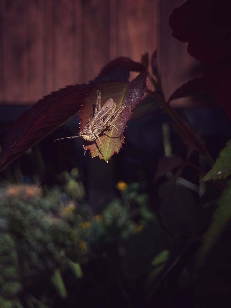 Photograph by Ксения Березкина