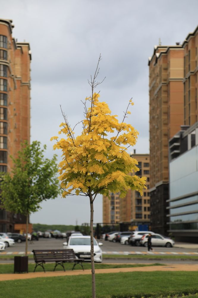 Не такое как все