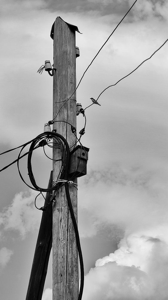 Photograph by Калюнова Наталья