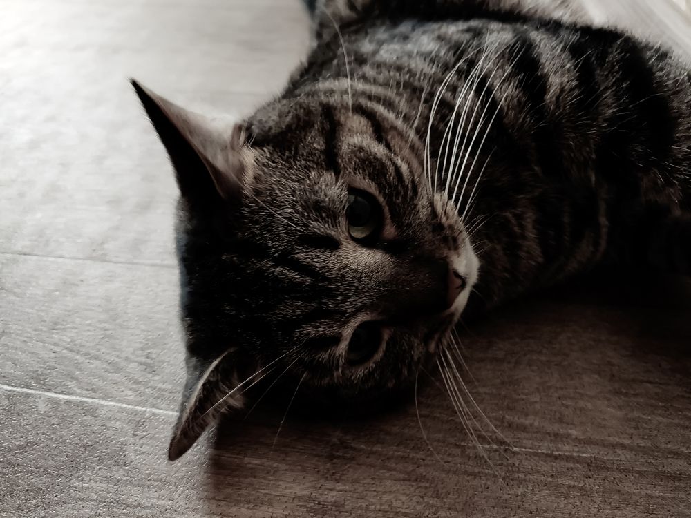 Photograph by Наталья Веряскина