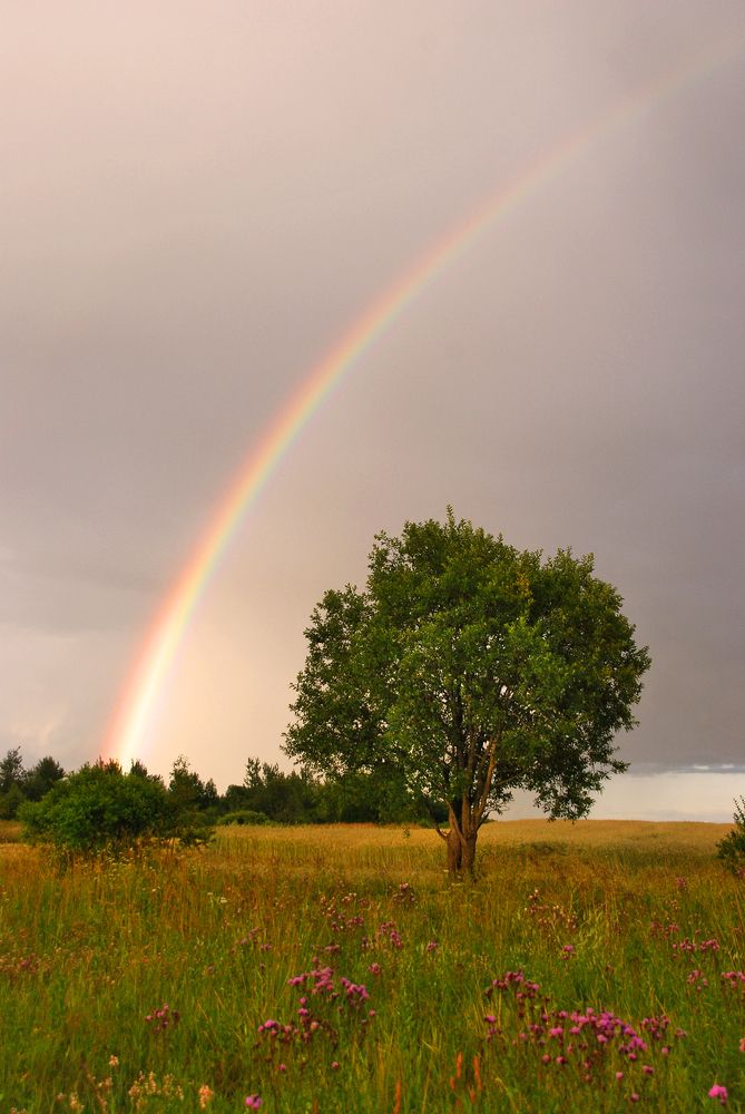 Photograph by Юрий Яковлев