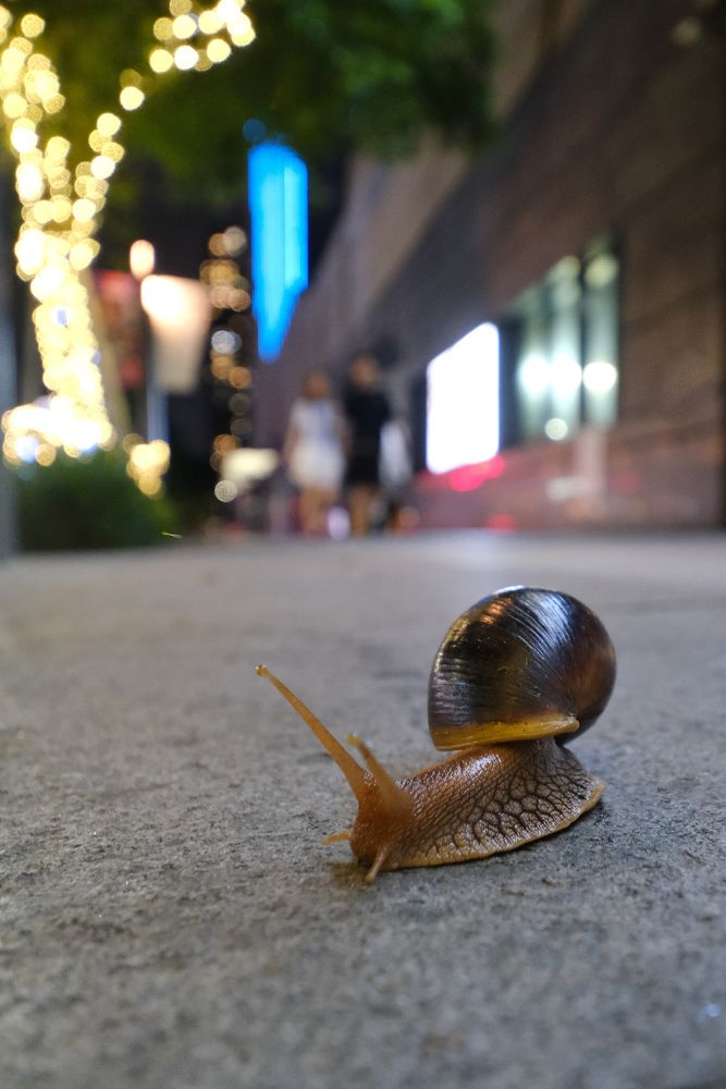 Фотография автора Александр Высоцкий