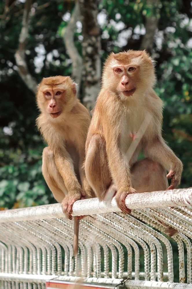 Photograph by Анна Орманжи