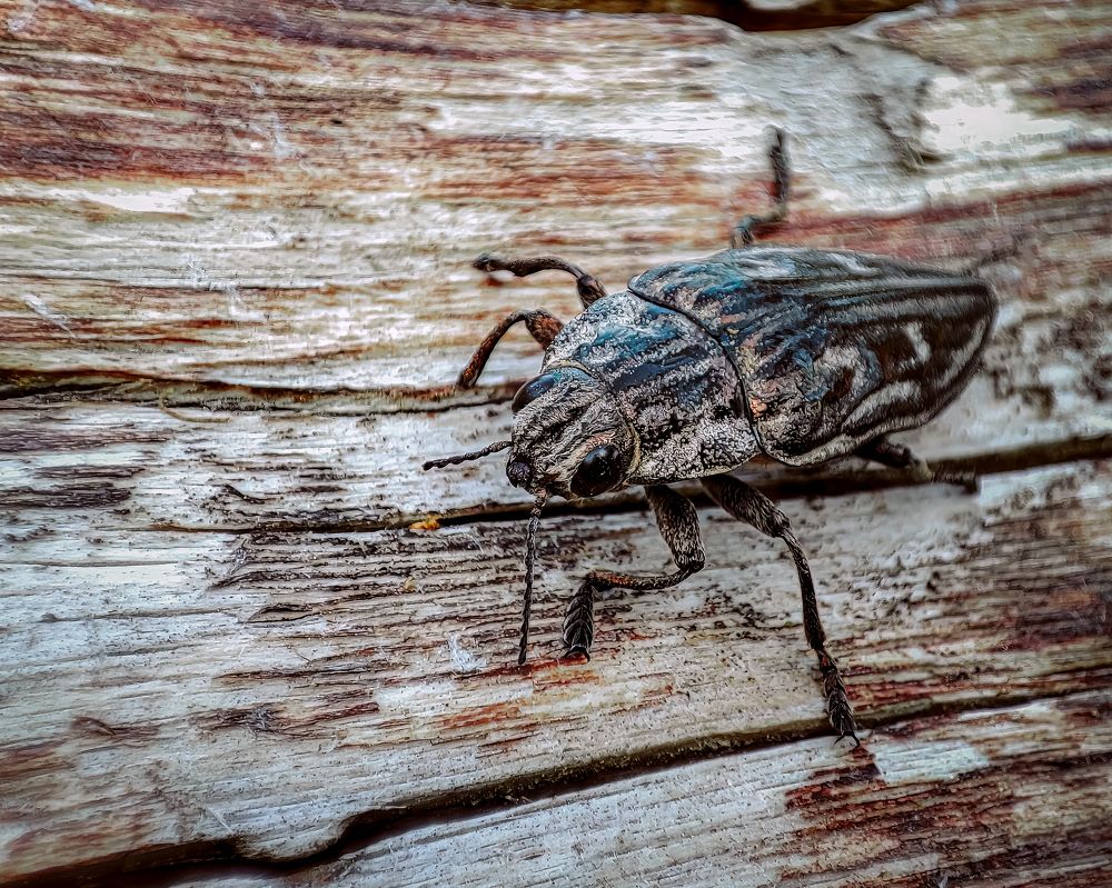 Photograph by Алексей