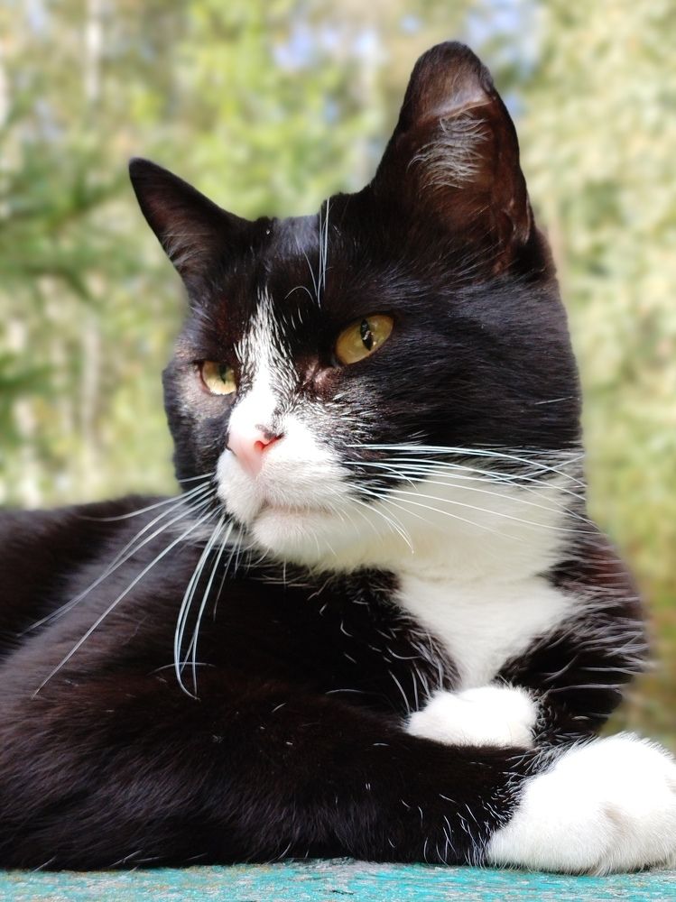 Photograph by Pavel Smurygin