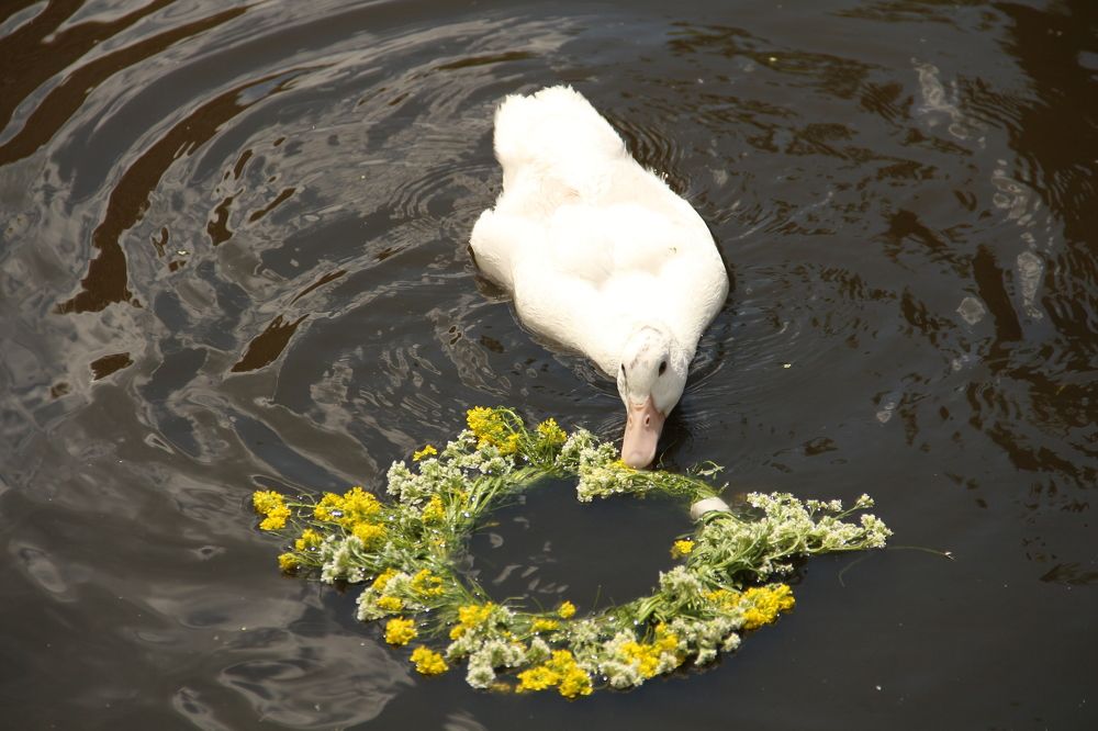 Photograph by Екатерина Филатова