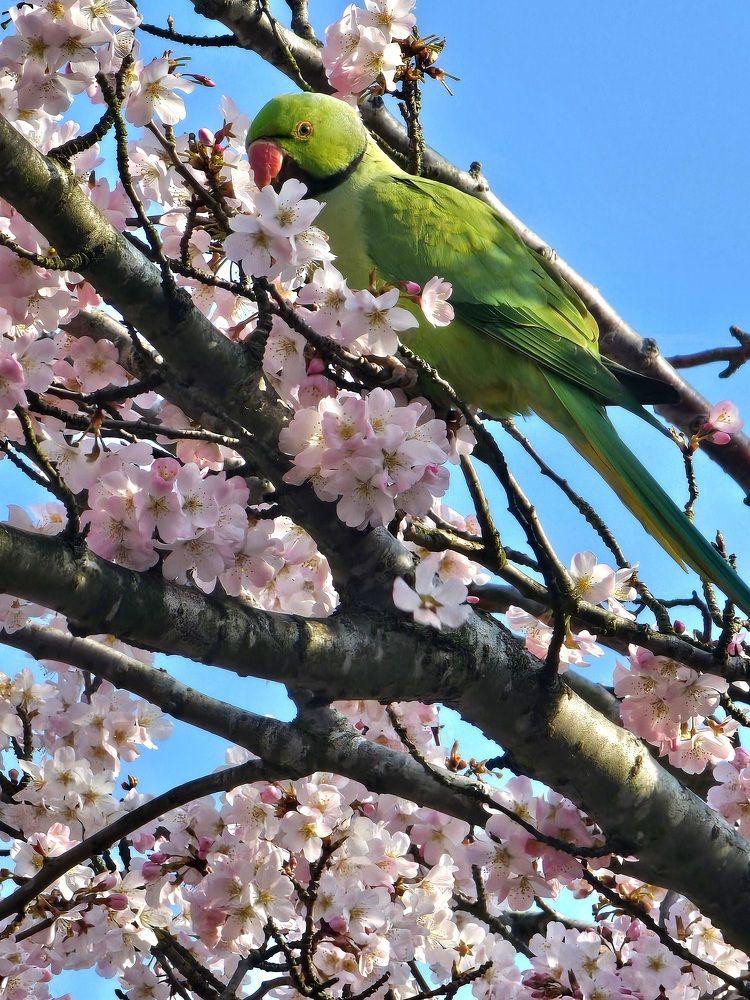 Photograph by Анастасия