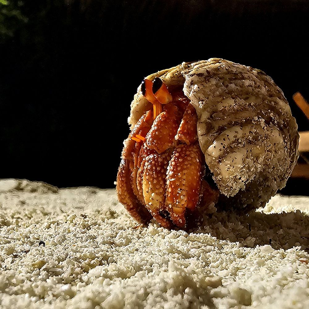 Photograph by Анастасия