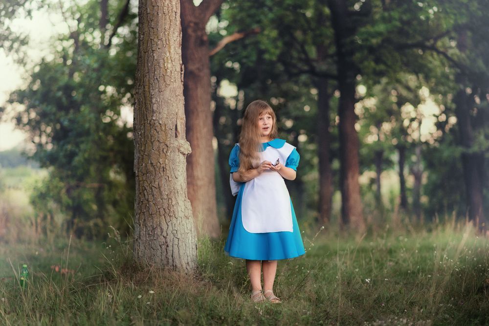 Алиса и кролик