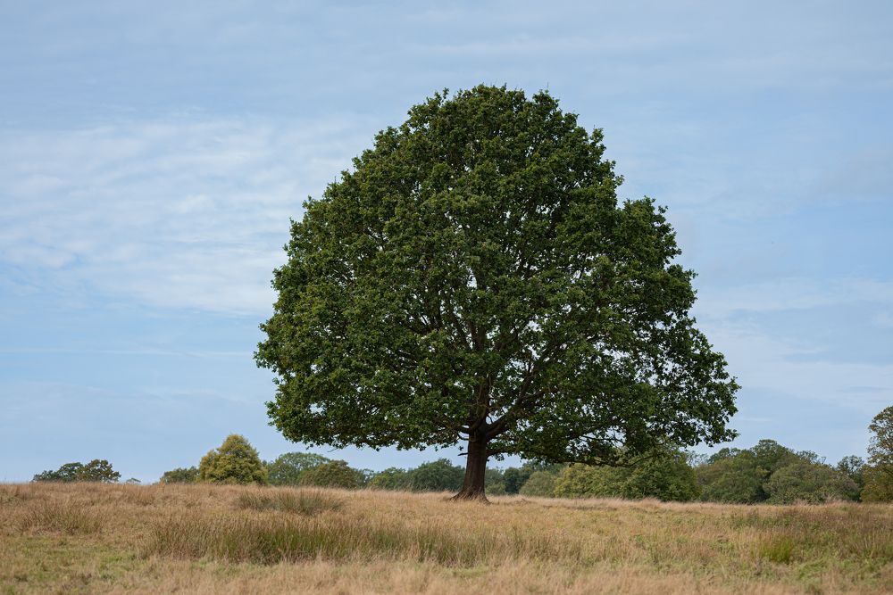 Photograph by Анастасия