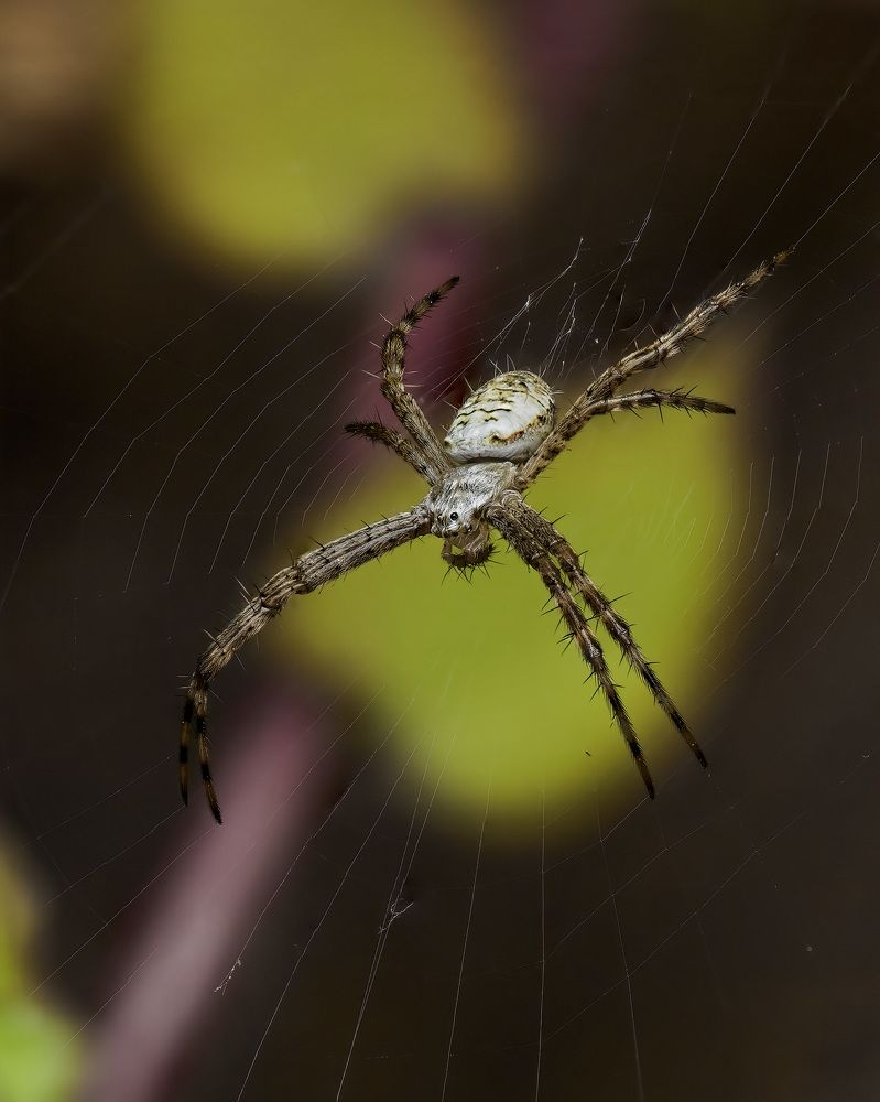 Photograph by RAJESH MAHAJAN